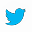 Twitter Icon