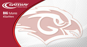 Red Hawks Red Background
