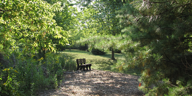 The grounds of the Center for Sustainable Living feature a wood-chipped prairie walking path that is open to the public. Other unique natural features include a wooded creek with majestic bur oaks, grounds maintained by Gateway's Horticulture Program and an apple orchard. 