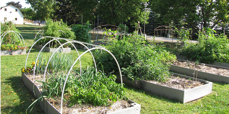 The Urban Garden serves as a hands-on resource for teaching and learning about food production in urban spaces. Produce from the Urban Garden also supplies Gateway's weekly farmer's market at the Pike Creek Horticulture Center. 