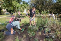 Gateway Horticulture students planting outdoors