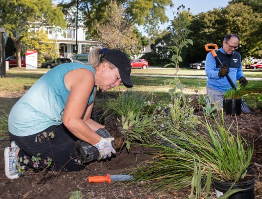 Gateway horticulture students planting pollinator-friendly perennials 