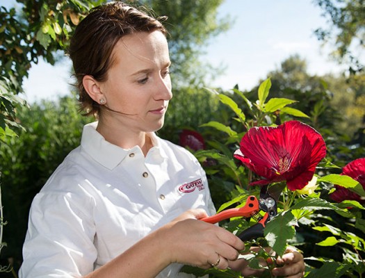 Horticulture Student working outside with plants