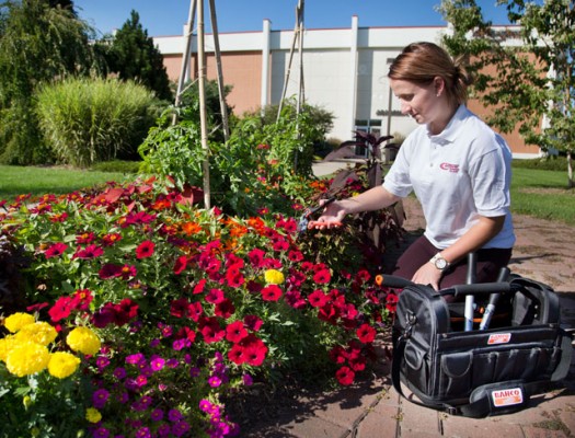 Landscape Horticulture | Gateway Technical College