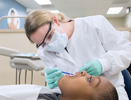 Dental Assistant Gateway Technical College 