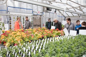 People visit one of the greenhouses at the Pike Creek Horticulture Center