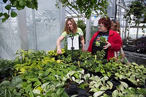 People at a Gateway plant sale