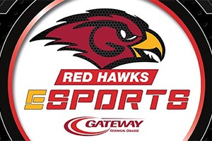 Red Hawk Esports logo