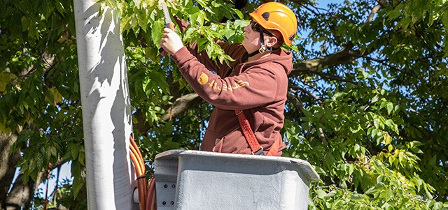 Arbor Apprentice in lift