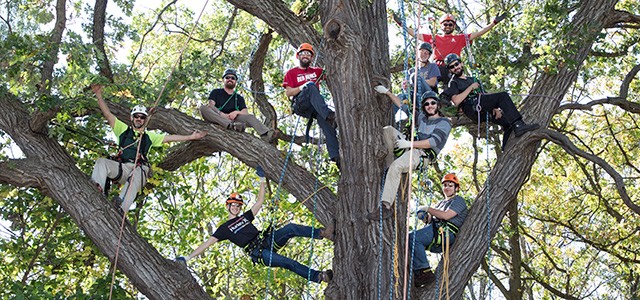 Arboriculture/Urban Forestry