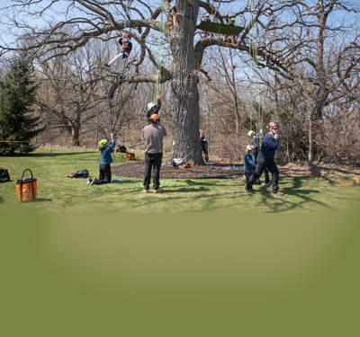 Tree climbing activity.