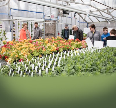 People visit one of the greenhouses at the Pike Creek Horticulture Center